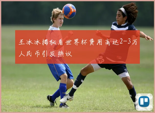 王冰冰揭秘看世界杯费用高达2-3万人民币引发热议