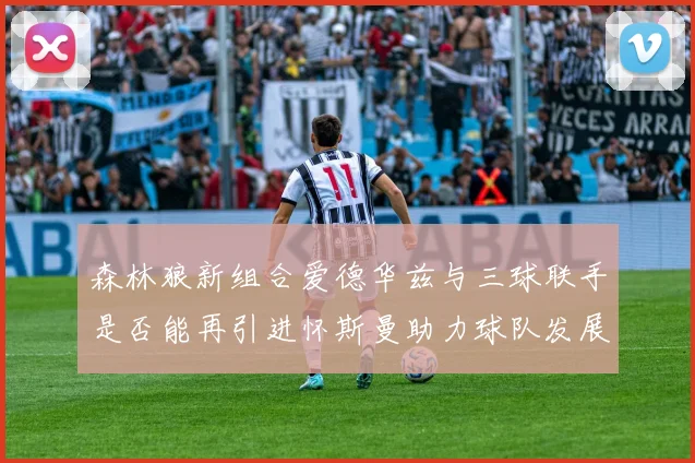 森林狼新组合爱德华兹与三球联手是否能再引进怀斯曼助力球队发展